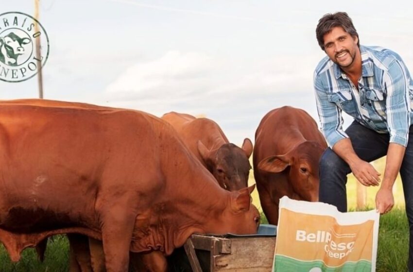  Sertanejo Leo Chaves faz fortuna com criação de gado